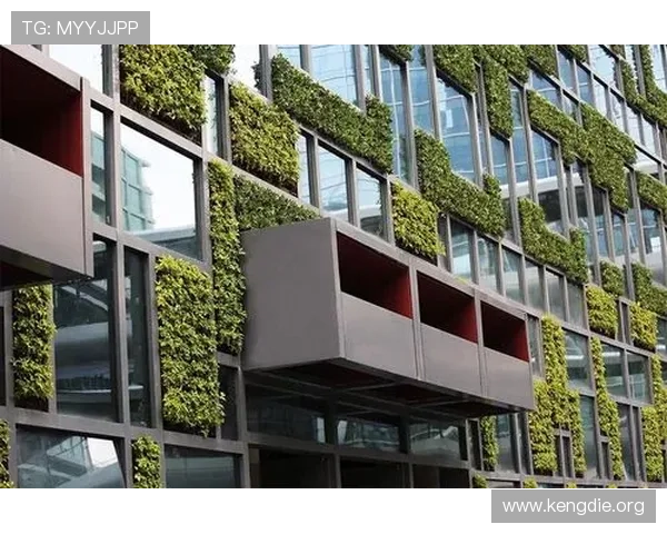 欧博会官网入口网址官方入口最新版本,确保用户顺利进入欧博会官方平台获取最新资讯